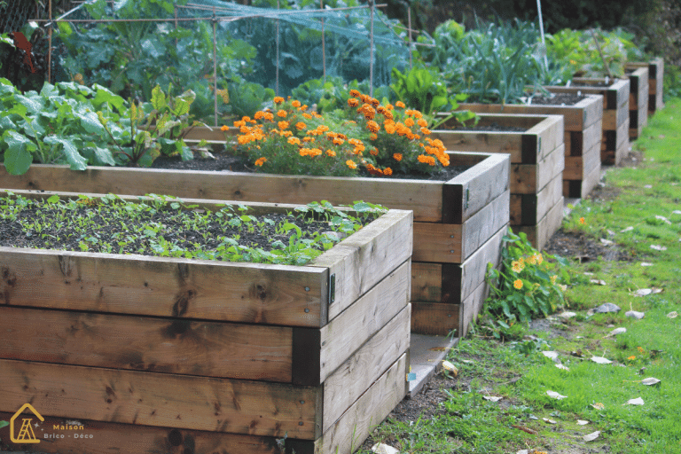 potager surélevé avec plusieurs bacs